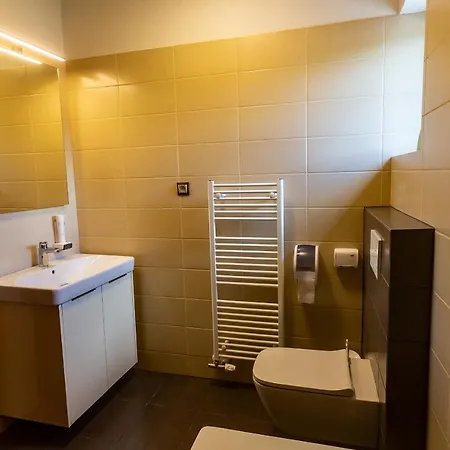 בית הארחה Vagacov Dom 3*